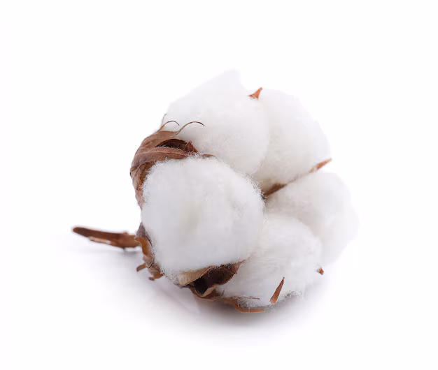 Paper and cotton