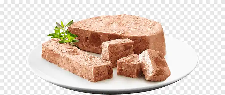 Appetizers, terrines and pâtés