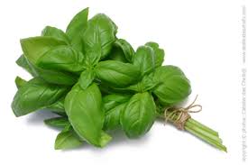 Basil - Boot