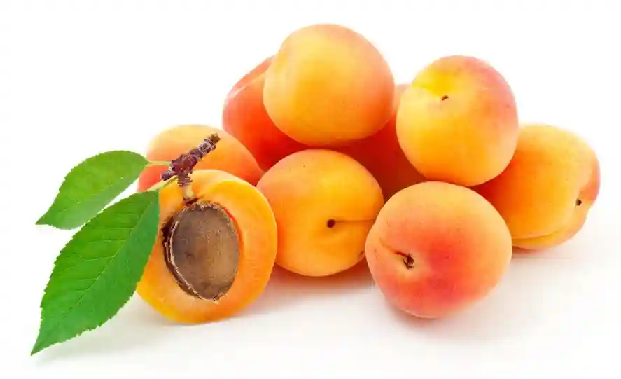Apricot - Unit