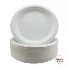  Plastic Plate Bag